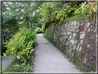 foto Giardini Trauttmansdorff - Boschi del Mondo